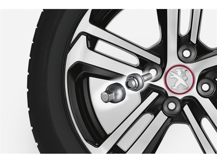 Peugeot Citroën Alüminyum Jant Şifreli Bijon Takımı