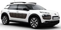 C4 Cactus (2014-2017)